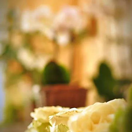 Litjes Hotel 3*