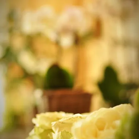 Litjes Hotel 3*